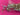 670dca8034be6e479edf2839_img-9491_1786985365482.jpeg