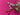670dca8034be6e479edf2839_img-9492_1786985365483.jpeg