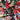 670dca8034be6e479edf2839_img-9501_1774522828233.jpeg