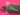 670dca8034be6e479edf2839_img-9552_1787081098947.jpeg