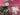 670dca8034be6e479edf2839_img-9585_1787165774488.jpeg
