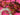 670dca8034be6e479edf2839_img-9702_1787681554404.jpeg