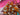 670dca8034be6e479edf2839_img-9703_1787681554405.jpeg