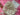 670dca8034be6e479edf2839_img-9725_1787685162117.jpeg