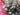 670dca8034be6e479edf2839_img-9727_1787685334056.jpeg