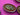 670dca8034be6e479edf2839_img-9732_1787686846589.jpeg