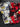 670dca8034be6e479edf2839_img-9741_1754693710146.jpeg