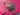 670dca8034be6e479edf2839_img-9749_1787764820951.jpeg