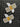 670dca8034be6e479edf2839_img-9750_1754694016877.jpeg