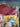 670dca8034be6e479edf2839_img-9767_1789508160849.jpeg