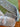 670dca8034be6e479edf2839_img-9793_1789509428439.jpeg
