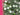 670dca8034be6e479edf2839_img-9873_1788384942558.jpeg
