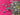 670dca8034be6e479edf2839_img-9875_1788386105358.jpeg