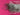 670dca8034be6e479edf2839_img-9937_1788562169948.jpeg
