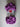 670dca8034be6e479edf2839_loop-it-1_1767660582377.jpg