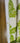 670dca8034be6e479edf2839_monstera-1_1784371346130.jpg