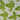 670dca8034be6e479edf2839_monstera-2_1784371346130.jpg