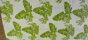 670dca8034be6e479edf2839_monstera-2_1784371346130.jpg