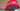 670dca8034be6e479edf2839_red-craft-ribbon-1_1779477583867.jpg