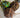 670dca8034be6e479edf2839_rem4sale_1784818350348.jpg