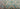 670dca8034be6e479edf2839_seahorse-green-2_1784373332659.jpg