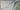 670dca8034be6e479edf2839_seahorse-green-6_1784373332659.jpg