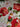 670dca8034be6e479edf2839_tempimage0ywydd_1790357206176.jpg
