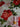 670dca8034be6e479edf2839_tempimage92t1io_1790357206176.jpg