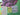 670dca8034be6e479edf2839_tempimagel7jrqg_1786724049803.jpg