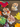 670dca8034be6e479edf2839_view-recent-photos-4_1769055693630.png