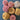 Bundle of Pinks & Oranges - 100% New Zealand Wool Yarn