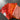 "Red Reign" Cotton Remnants Bundle