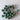 Bundle of 14mm Turquoise Beads