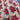 Hoffman International - Poinsettia Fabric - 3-yds, 42-inch width