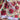 Hoffman International - Poinsettia Fabric - 3-yds, 42-inch width
