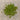 Lime Green Glass Bicones #7012 - 1