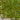Lime Green Glass Bicones #7012 - 2