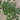 Miscellaneous Lime Green Rondelles #7066 - 2