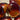 Large Root Beer Flat Discs #7071 - 2