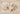 Enchanted Wood Scrapbooking Kit - 4
