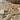Large Wooden Scrabble Tiles #7578 - 2