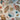 Cotton Decorator Fabric Cranston Shells for Fussy Cutting Beach 1 yd x 46"w - 2
