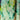 Lemon Lime cotton Batik Fabric by the yard 44"w - 1