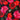 Realistic Roses, 1 yd cotton fabric red pink on black, JoAnns, washed,ironed - 2