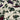 1/2 yd Cranston Print Works Purple Red Grapes on Tan Cotton Fabric Remnant  - 1