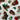 1.75+ yds 100% Cotton Christmas Pine Cone Green Red Winter Holly Quilting Fabric