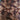 670dca8034be6e479edf2839_anim-chiff-1_1769548990067.jpg