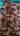 670dca8034be6e479edf2839_anim-chiff-1_1769548990067.jpg