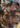 670dca8034be6e479edf2839_anim-chiff-4_1769548990069.jpg