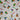 670dca8034be6e479edf2839_bears-color-1_1779470352138.jpg